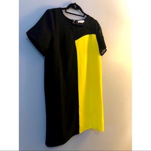 Electric ⚡️ Neon Yellow and Black Love Riche Dress